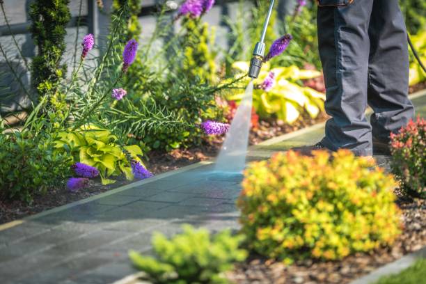 Best Gutter Cleaning and Brightening in Wayland, IA