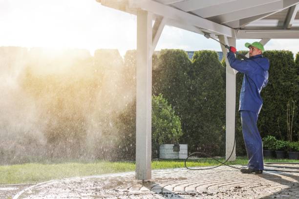 Best Building Exterior Pressure Washing in Wayland, IA