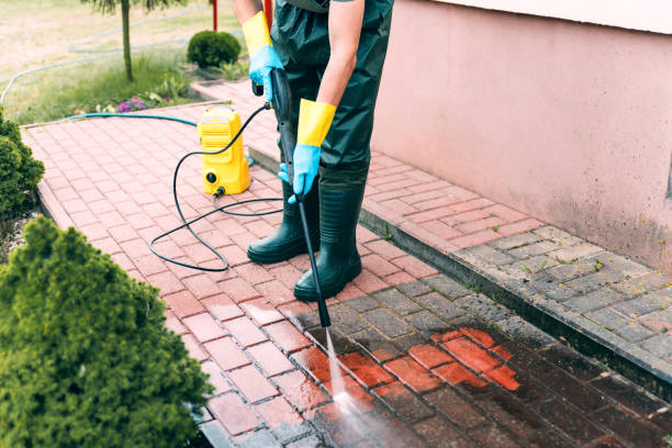 Best Vinyl Siding Pressure Washing in Wayland, IA